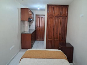 Departamento tipo estudio